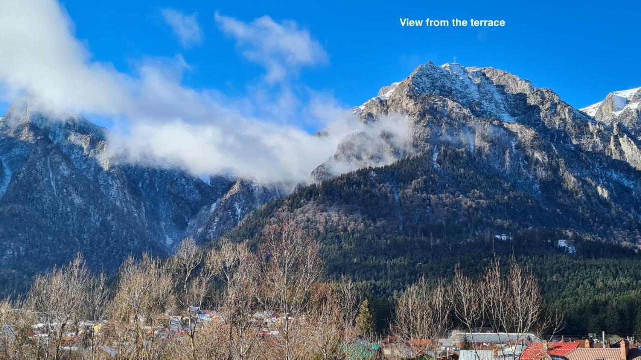 Cozy Riverfront Apartments With Garden And Mountain View Buşteni Exteriér fotografie