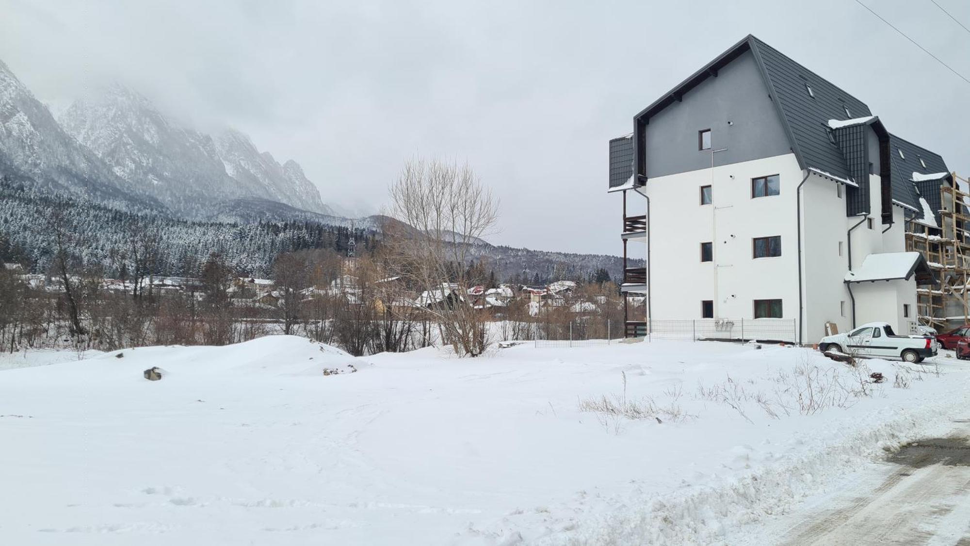 Cozy Riverfront Apartments With Garden And Mountain View Buşteni Exteriér fotografie