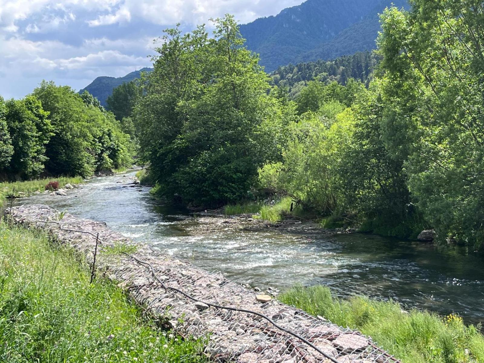 Cozy Riverfront Apartments With Garden And Mountain View Buşteni Exteriér fotografie